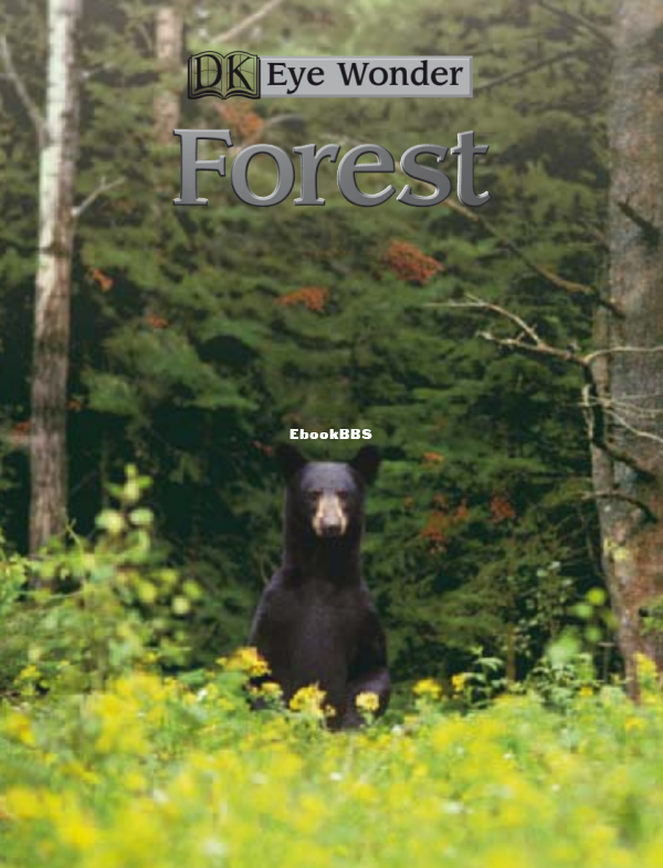 DK Eye Wonder - Forest (2004) - 1.png