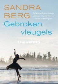 gebroken-vleugels.jpg