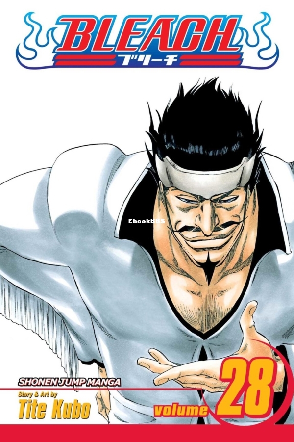 6846433-bleach 28.jpg