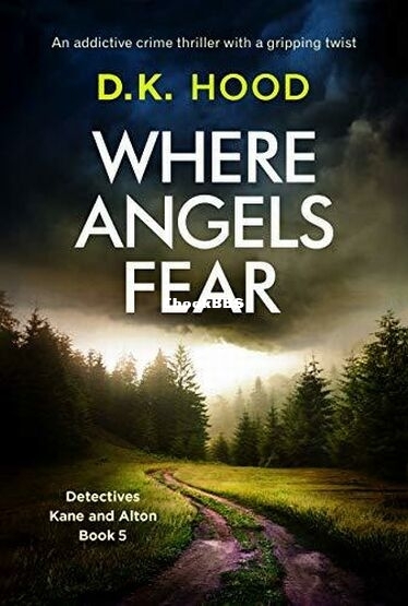 Where Angels Fear.jpg