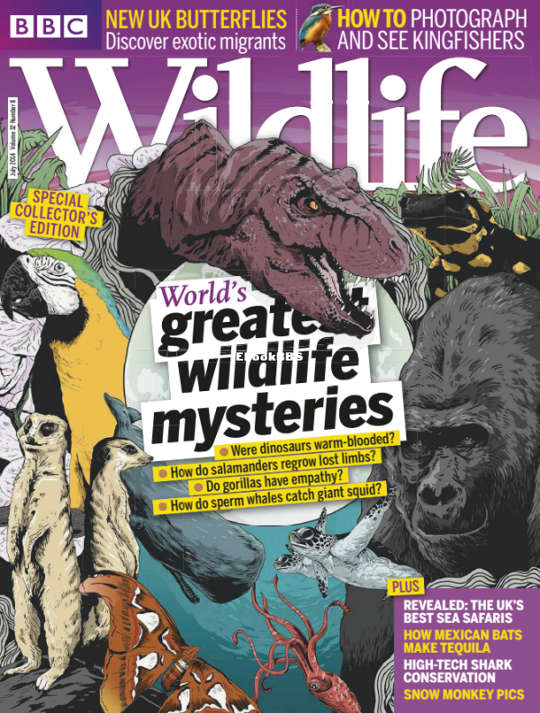 BBC Wildlife 2014 08.png