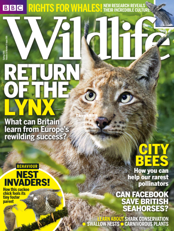 BBC_Wildlife_05_2015 - 1.png