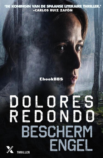 Screenshot_2024-12-30 Baztán 1 - Beschermengel (ebook), Dolores Redondo 978940.png
