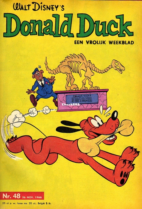 48.jpg