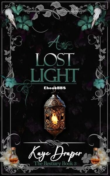 A Lost Light.jpg