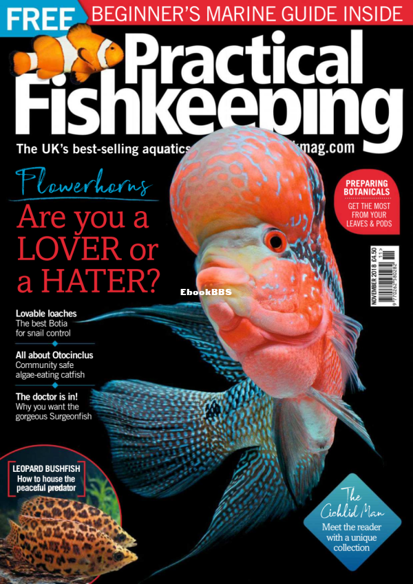 Practical Fishkeeping 11.2018 - 1.png