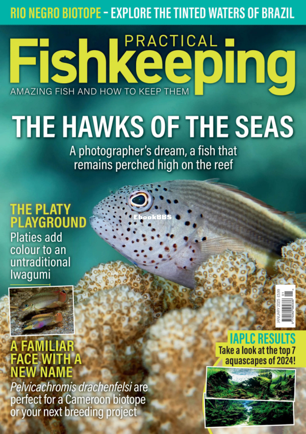 Practical Fishkeeping 01.2025 - 1.png
