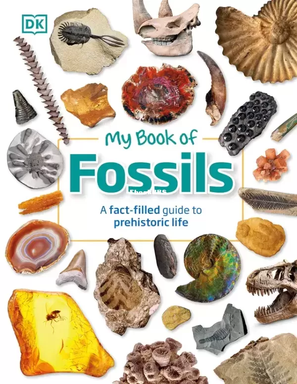 My Book of Fossils A Fact-filled Guide to Prehistoric Life (DORLING KINDERSLEY LTD.).webp