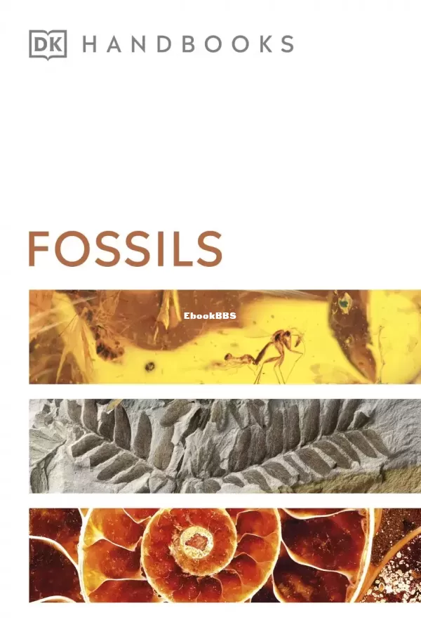 Fossils-DK-Smithsonian-Handbook-by-DK.jpg