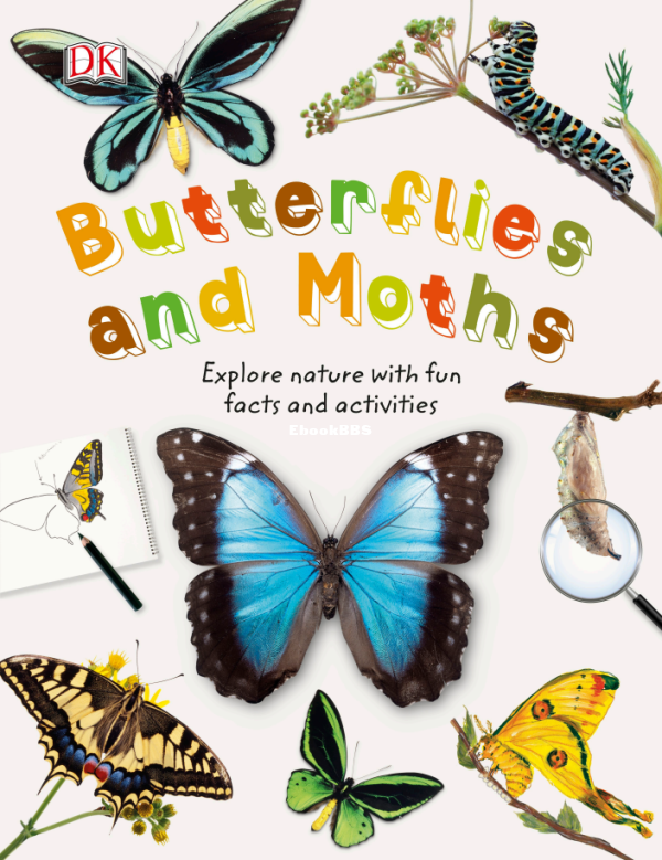 Butterflies and Moths (John Feltwell) (Z-Library) - 1.png