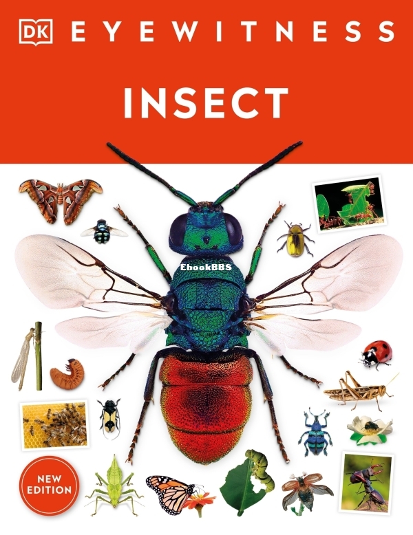 Eyewitness Insect (DK Eyewitness).jpg