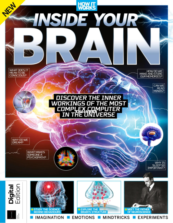 How_It_Works_-_Inside_Your_Brain_5th_Edition_2024 - 1.png