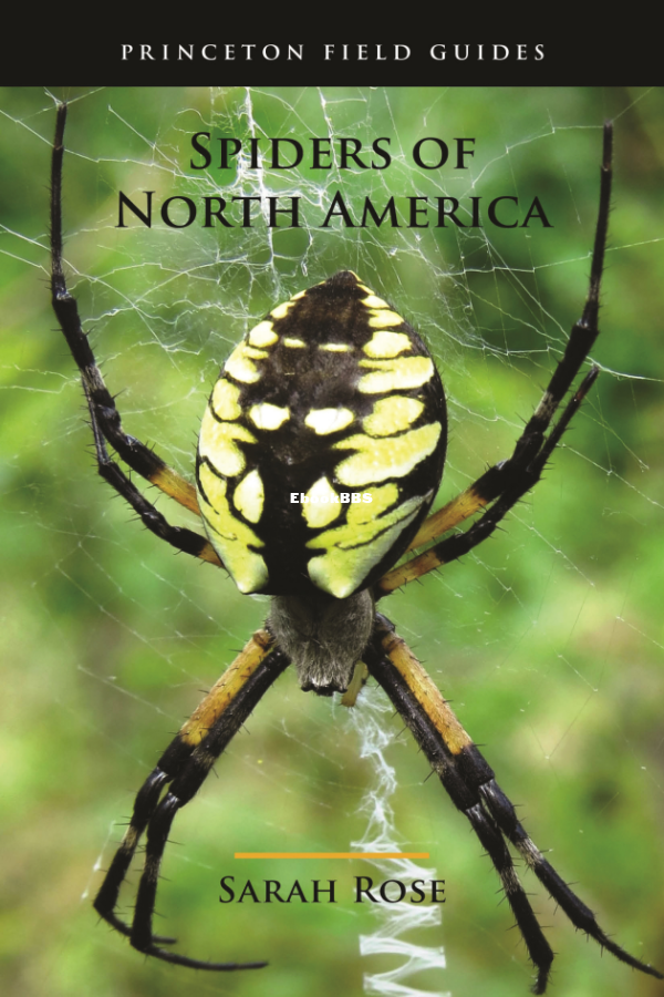 Spiders_of_North_America_Princeton_Field_Guides_-_Sarah_Rose - 1.png