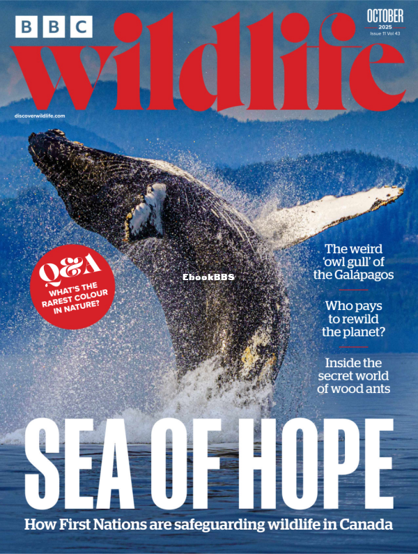 BBC_Wildlife_-_October_2025 - 1.png