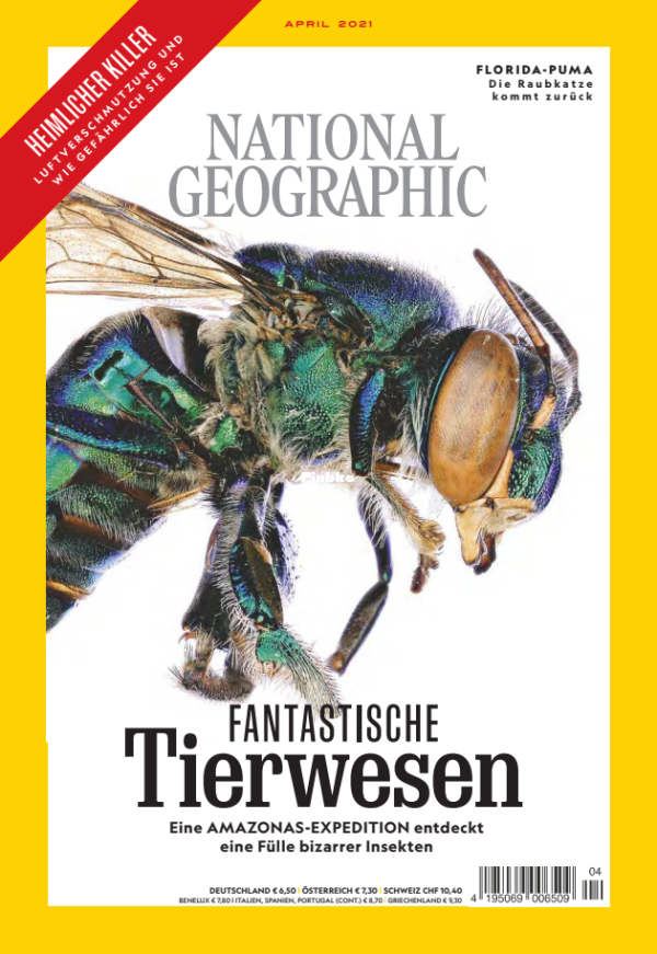 National_Geographic_4.21 - 1.png