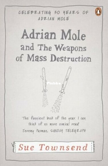 Adrian Mole and the Weapons of Mass Destruction.jpg