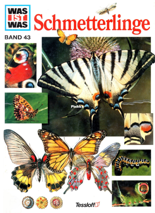 Was_ist_Was_-_043_-_Schmetterlinge - 1.png