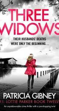 Three Widows - D.I. Lottie Parker 12 - Patricia Gibney - English