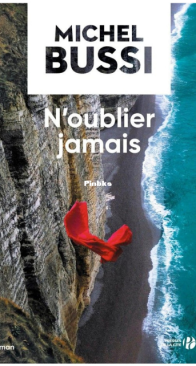 N'Oublier Jamais - Michel Bussi - French