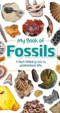 My Book of Fossils - DK - Dr. Dean Lomax - English