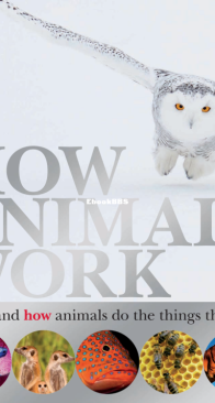 How Animals Work - DK - David Burnie - English