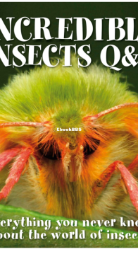 Incredible Insects - DK - Sally Tagholm - English