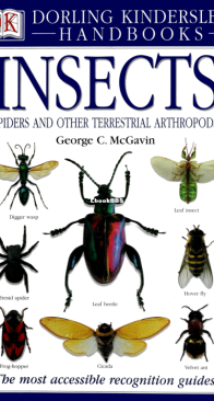 Insects - DK Handbooks - English