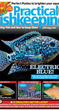 Practical Fishkeeping Magazine - 2017-03 - English