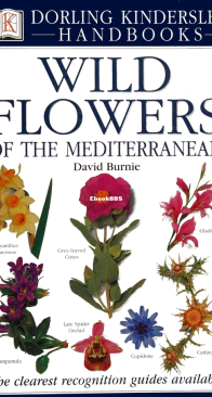 Wild Flowers of the Mediterranean - DK Handbooks - English