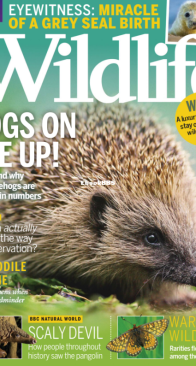 BBC Wildlife 2018 04 - English