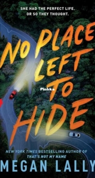 No Place Left to Hide - Megan Lally - English