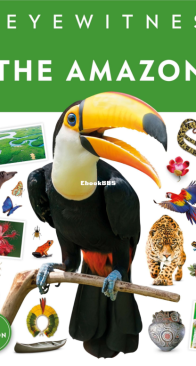 Amazon - DK Eyewitness - English