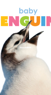 Baby Penguins - Starting Out - Kate Riggs - English