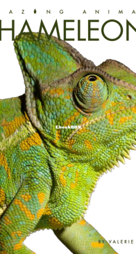 Chameleons - Amazing Animals - Valerie Bodden- English