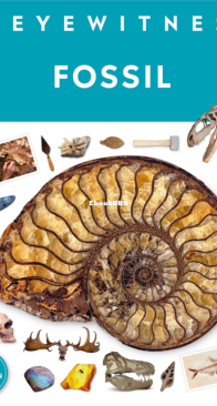 Fossil - DK Eyewitness - English