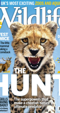 BBC Wildlife 2015 11 - English
