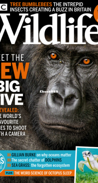 BBC Wildlife 2021 07 - English
