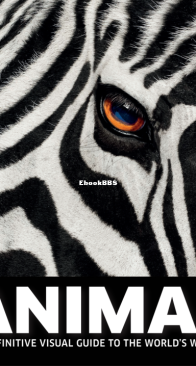 Animal: The Definitive Visual Guide to the World's Wildlife - DK - English