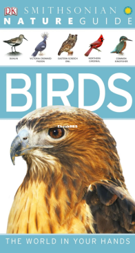 Birds - DK Smithsonian Nature Guide - English