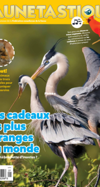 Faunetastique - 02-03. 2026 - French