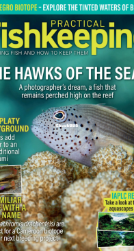 Practical Fishkeeping Magazine - 2025-01 - English