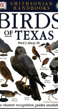 Birds of Texas - DK Handbooks - English