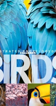 Illustrated Encyclopedia of Birds - DK - English