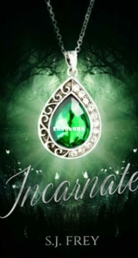 Incarnate - S. J. Frey - English