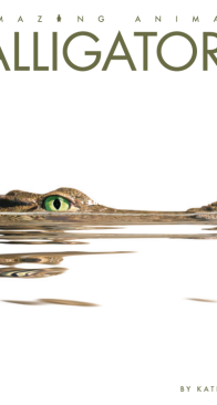 Alligators - Amazing Animals - Kate Riggs - English
