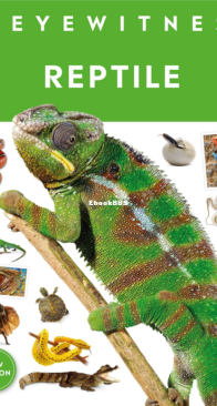 Reptile - DK Eyewitness - English