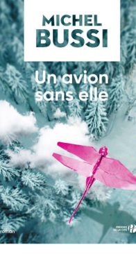Un Avion Sans Elle -  Michel Bussi - French