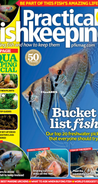 Practical Fishkeeping Magazine - 2016-12 - English