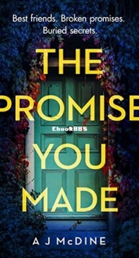 The Promise You Made - A. J. McDine - English